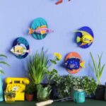 big-fishes-overview-collection-416x548