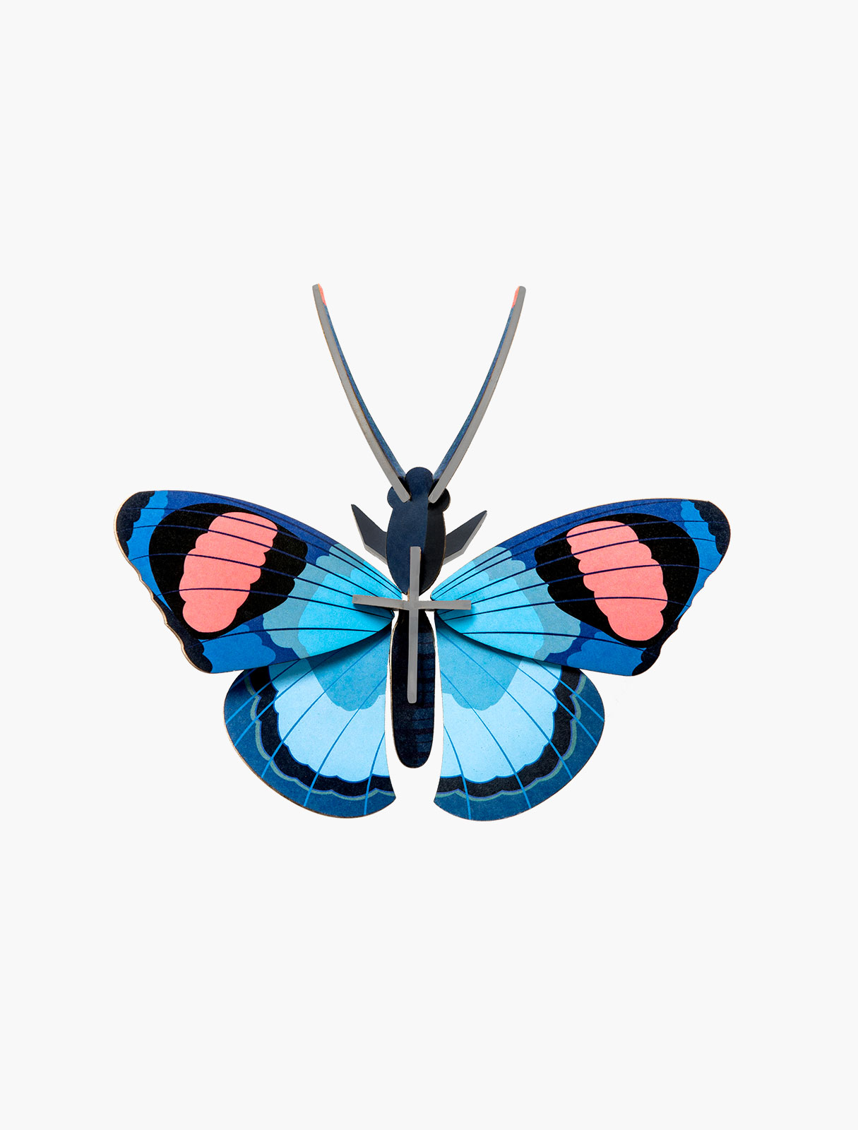 Small Insects - Peacock butterfly