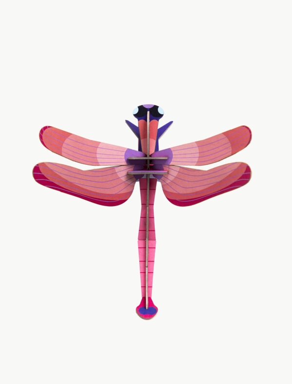 dragonfly decoration