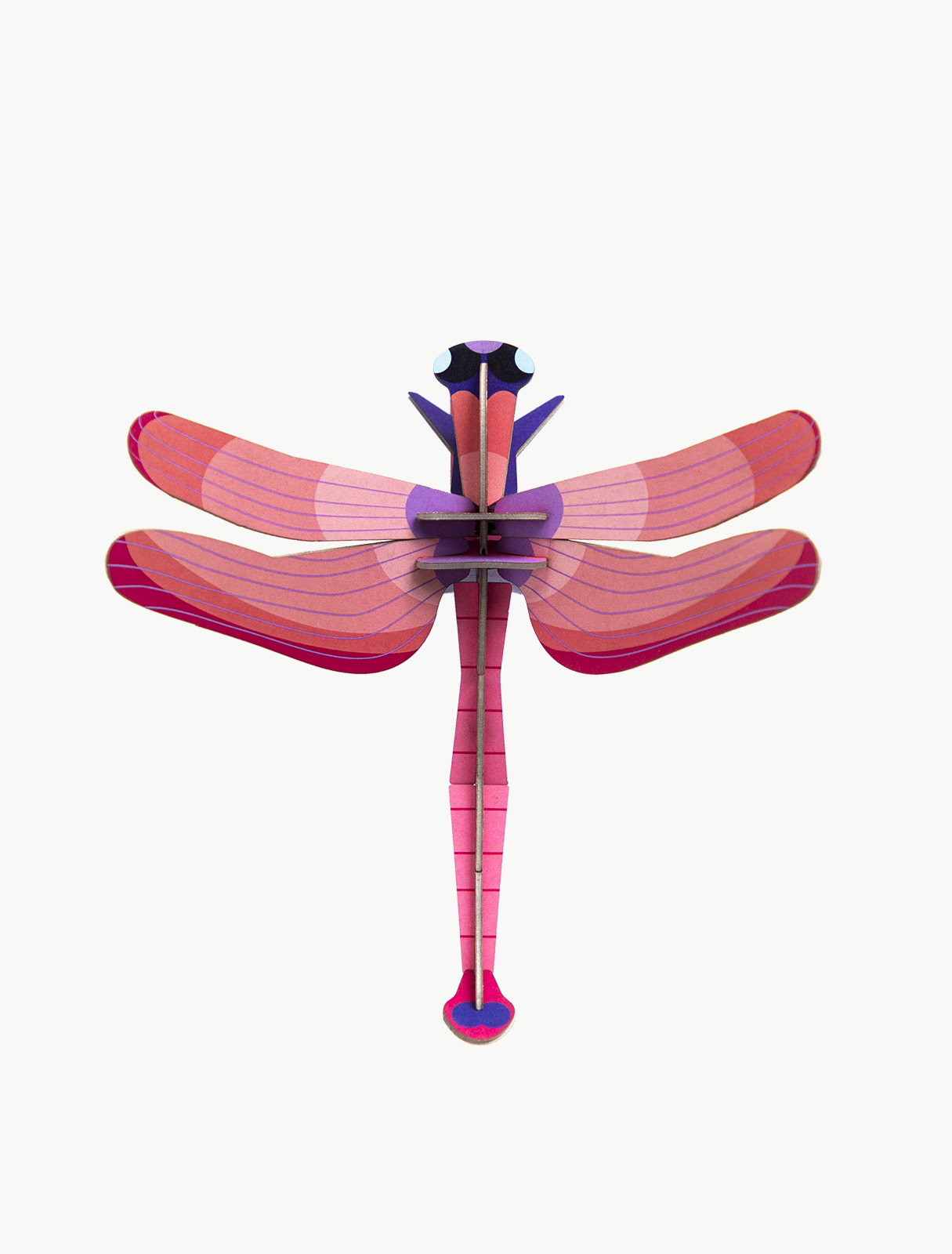 Small Insects - Ruby Dragonfly