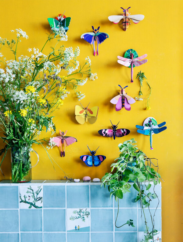 Butterflies