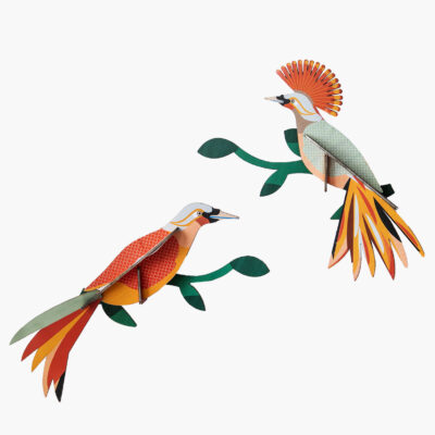 Paradise Bird - Obi