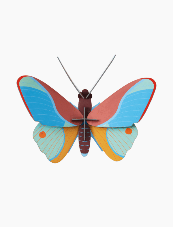 claudina butterfly